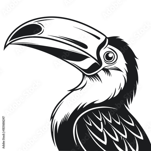 Vector illustration black and white stylized illustration of a toucan head and upper body