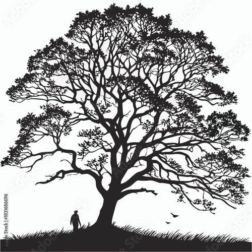 Vector illustration silhouette of a large, mature oak tree with sprawling branches standing over a small human figure on a grassy hill