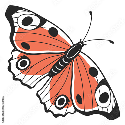 Vector illustration stylized illustration of an orange and black butterfly with prominent eyespots