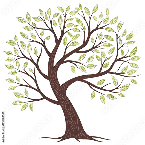 Vector illustration stylized illustration of a mature deciduous tree with a thick brown trunk and many branches bearing light green spring leaves