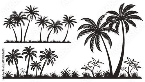 Vector illustration collection of black and white silhouette vector illustrations featuring various styles of palm tree clusters and tropical foliage