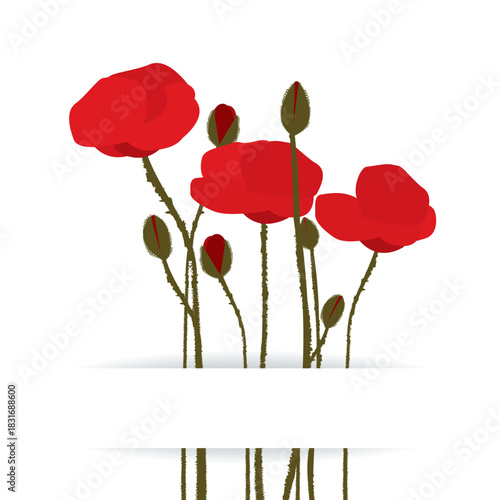Greeting card with poppies and place for text.eps