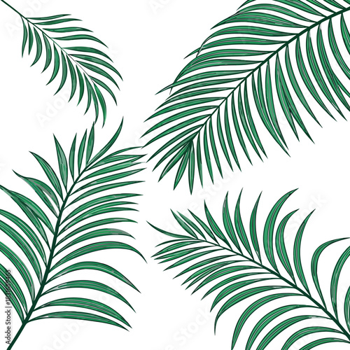 Vector illustration four stylized dark green palm fronds arranged diagonally against a pure