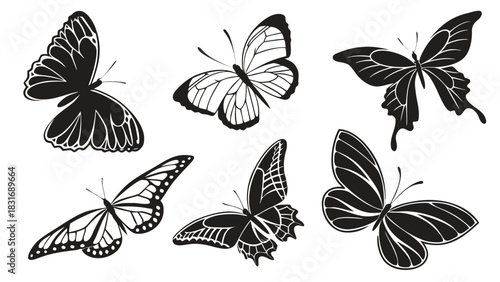 Vector illustration collection of six detailed black and white butterfly silhouettes and line art illustrations