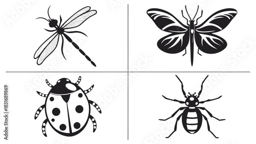 Vector illustration black and white vector illustration set featuring four different common insect species