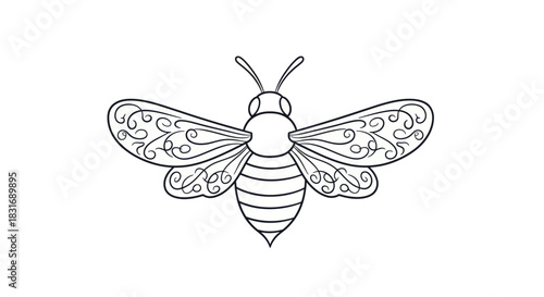Simple and Elegant Line Drawing of a Bee with Intricate Wing Patterns for Artistic and Coloring