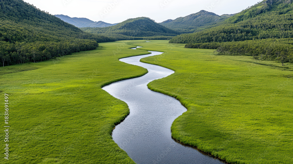 Fototapeta premium Flowing river green valley winding creek marshland mountain backdrop calm water lush grass