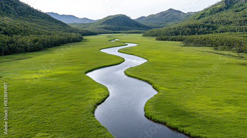 Fototapeta Naklejka Na Ścianę i Meble -  Flowing river green valley winding creek marshland mountain backdrop calm water lush grass