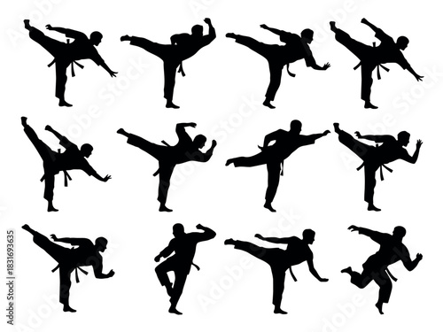 A dynamic collage of silhouetted martial artists performing various high-flying kicks in a grid formation, showcasing diverse combat techniques.