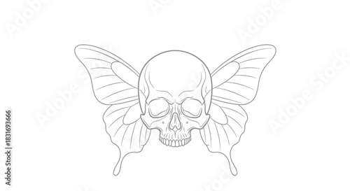 Intricate Line Drawing Merging Human Skull with Butterfly Wings for Artistic Expression
