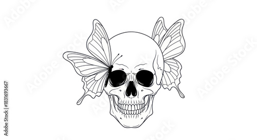 Intricate Skull with Butterfly Details Combining Mortality and Transformation Themes
