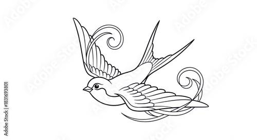 Intricate Line Drawing of a Dynamic Swallow in Flight with Elegant Tail Feathers