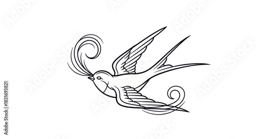 Elegant Line Drawing of a Swallow in Flight with Sweeping Tail Feathers