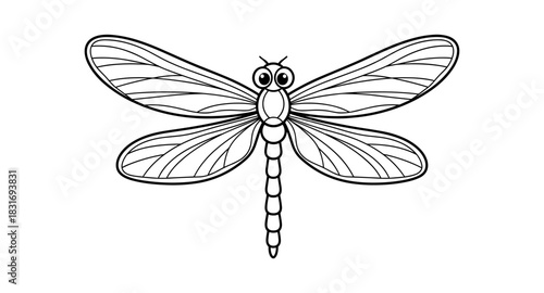 Intricate dragonfly line art with detailed wings and body design
