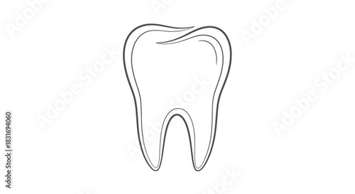 Minimalistic Anatomical Illustration of a Human Tooth with Fine Line Detailing for Dental