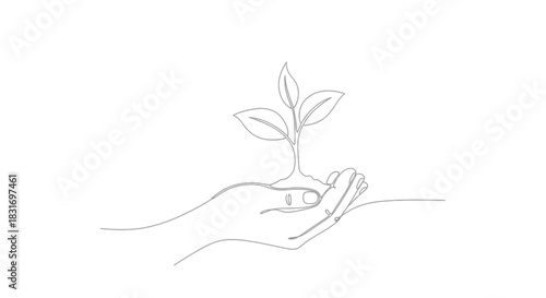 minimalist line drawing of hand cradling a small sprouting plant symbolizing growth and care