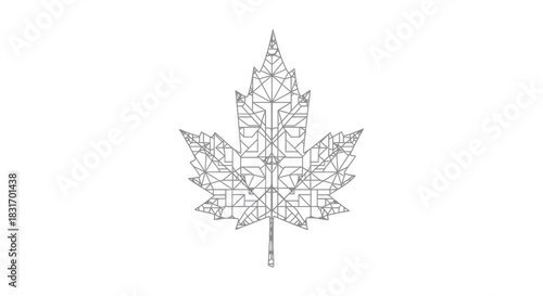 Intricate line art depiction of a detailed maple leaf with geometric design and symmetry