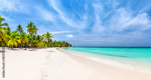 Panorama of perfect white sandy beach with coconut palm trees in Caribbean sea, Saona island. Dominican Republic. Summer beach concept.