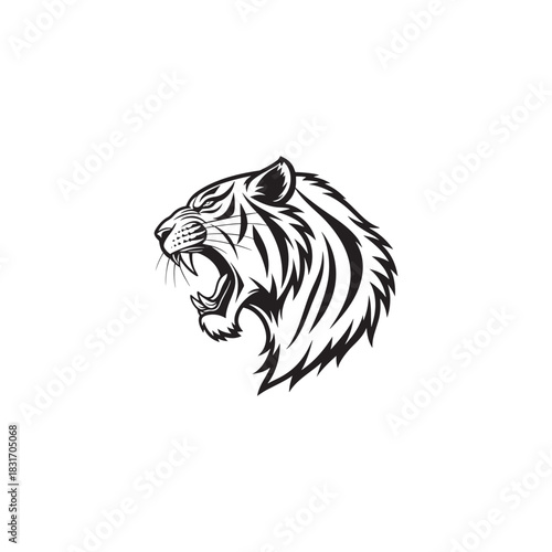 Angry tiger head isolated on white background, vector illustration.