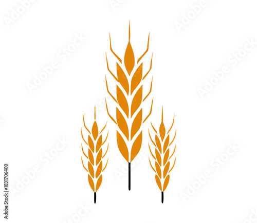 Agriculture wheat Logo. wheat Logo Template vector icon design. Template vector icon design