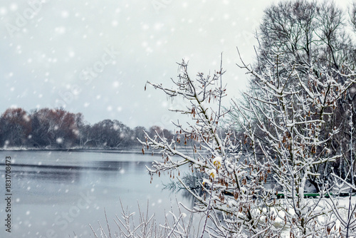 Winter snowfall over quiet lake surrounded by snowy trees and bushes on bank under cloudy sky creating calm and atmospheric panoramic winter landscape