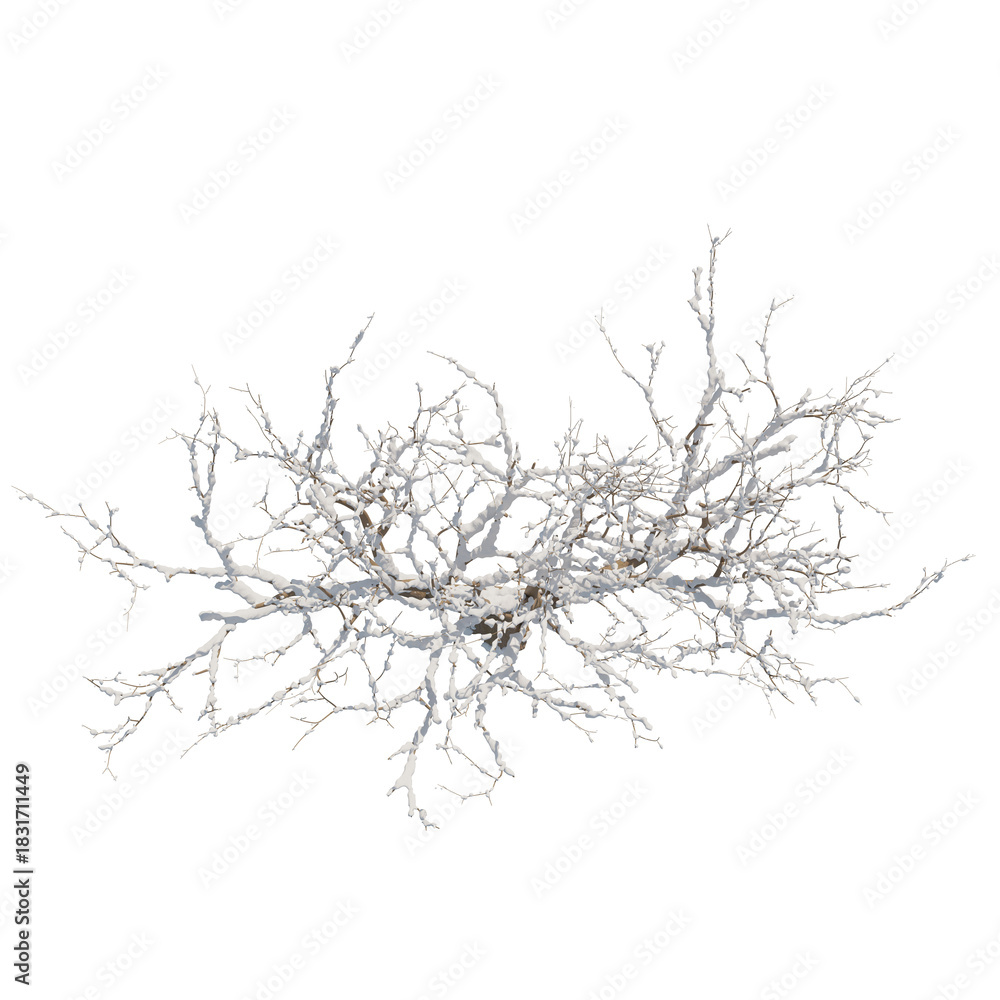 Obraz premium Tree snow covered isolated transparent background photo realistic 3d rendering PNG 16 bit with alpha channel 