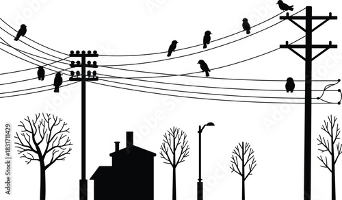 Birds Perched on Power Lines Above Silhouetted Trees and House utility pole