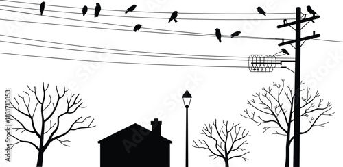 Silhouette of birds on power lines above a house and bare trees on white background telephone pole