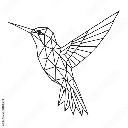 Geometric outline of hummingbird in minimalist style.