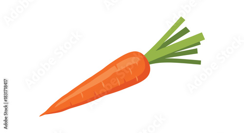 Fresh orange carrot with green leafy tops shown against a clean white background highlighting its natural shape bright color and crisp texture.