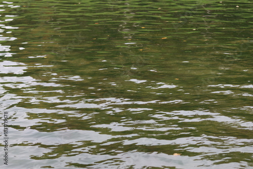 Konstfotografi Green reflections in a woodland river