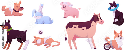 A set of injured pets and farm animals, assistance, care, concern, and treatment.