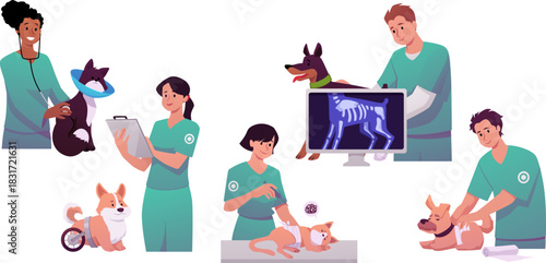 Vet clinic vector set, cartoon sick dogs and cats visiting veterinary doctor, x-ray diagnostic and treatment injection