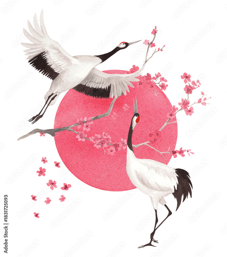 Obraz premium Sakura and japanese cranes with the sun on a background. Watercolor handmade illustration. For fabric, wallpaper, greeting cards, design, decoration and illustration.
