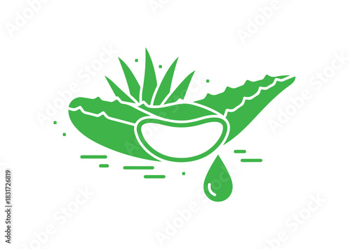 Aloe vera juice icon. Extract from a medicinal herb. Organic liquid from plants. A slice of cactus with a droplet. Cosmetic item. Vector illustration isolated.

