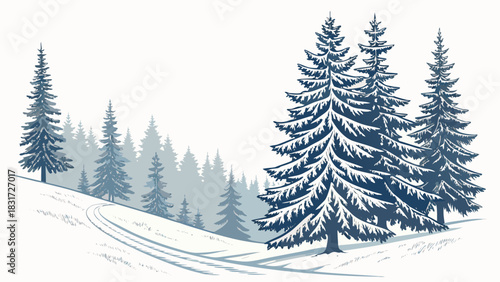 Winter landscape with snow covered ground and pine trees in the background and foreground view scene