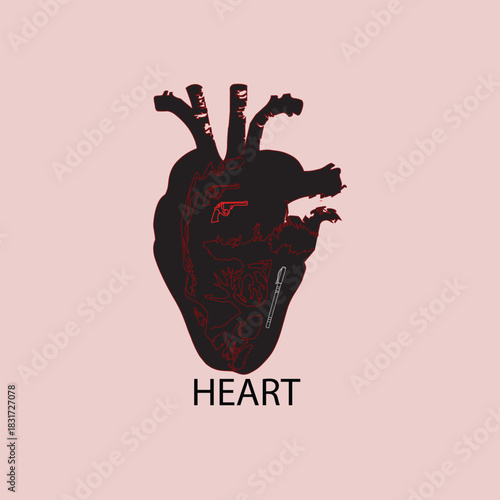 Anatomical heart illustration with red internal details and "HEART" label on light pink background