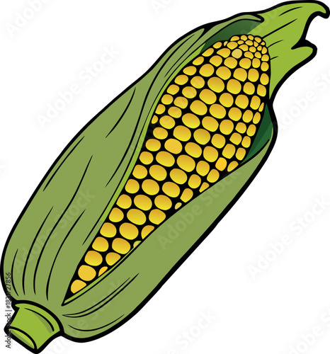 Corn cobs vector flat icon of sweet vegetable isolated icon