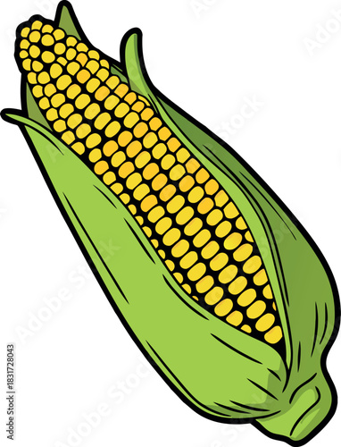 Peeled corn ears. corn vector yellow fruit icon