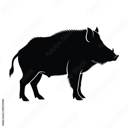 A striking silhouette of a wild boar standing in profile view