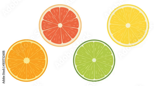 High resolution product photography of four vibrant citrus fruit slices arranged horizontally on a clean pure white background