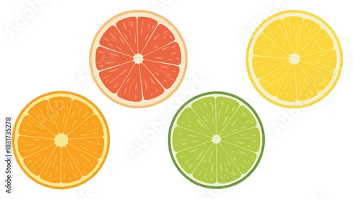 High resolution product photography of four vibrant citrus fruit slices arranged horizontally on a clean pure white background