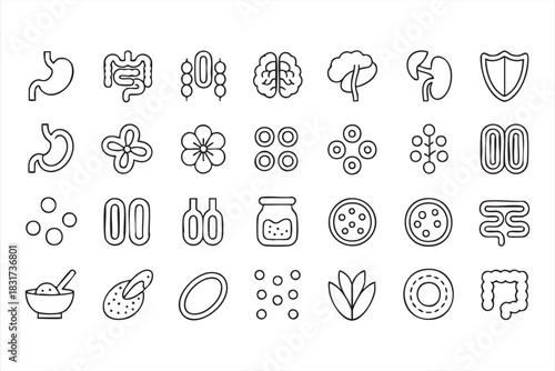 Gut Biology Outline Icons for Probiotics, Nutrition Science, and Health Illustration