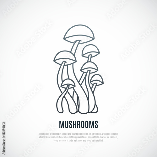 Outline vector illustration of Mushrooms. Mushrooms with long stems.
