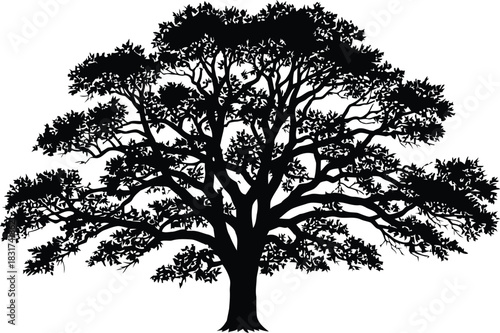 A vector set of black tree silhouettes including oak and bare branch designs for winter and autumn forest landscape illustration