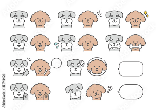 トイプードルとシュナウザー　表情イラスト	