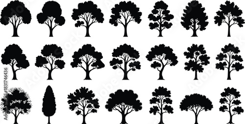 Diverse Collection of Black Tree Silhouettes, Various Shapes of Mature and Young Trees, Including Conical and Broadleaf Species, Isolated on Pure White