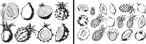 Fruit doodle illustration, tropical fruit sketch, pineapple drawing art, banana vector clipart, strawberry outline design, juicy fruit pattern, healthy food decor, summer fruit collection, organic fru