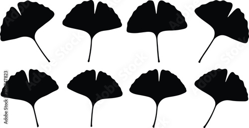 Collection of Black Ginkgo Biloba Leaf Silhouettes, Various Oriental Fan-Shaped Leaves, Isolated on Pure White Background, Botanical Vector Icons, Nature Medicine Herb Art, Decorative Element.