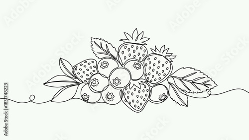 Minimalist continuous line drawing of mixed berries offering simple, elegant aesthetic